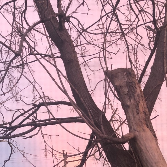 Meet your Posher, Max - Picture 1 of 1